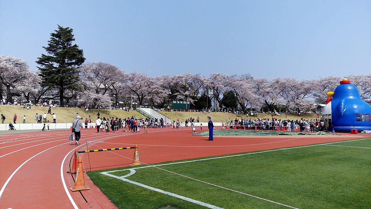 武蔵野桜まつり、武蔵野体育館