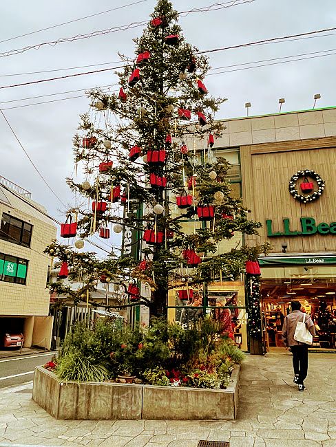 吉祥寺でクリスマスの飾りと言えばここ「LL　Bean」