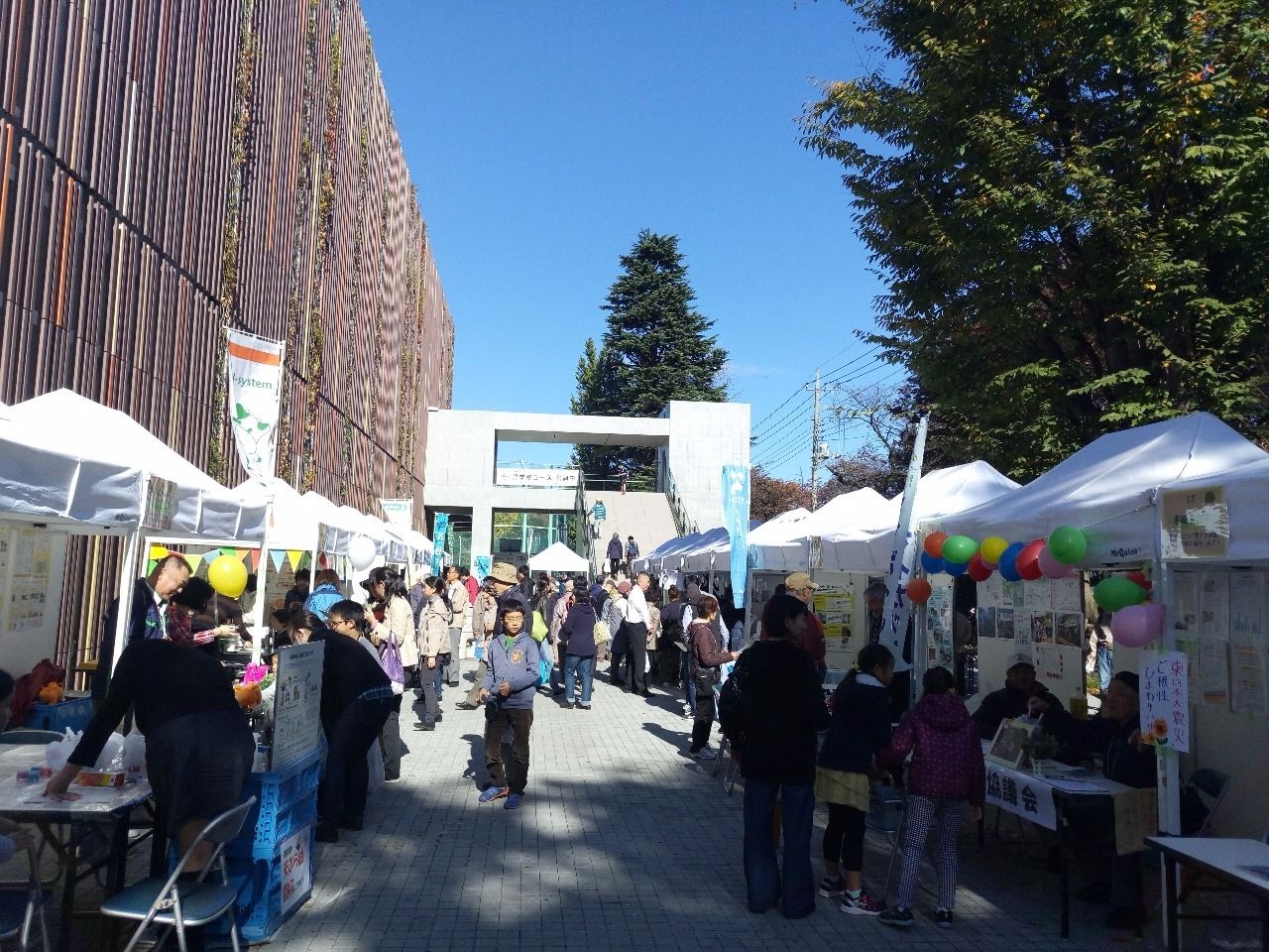 武蔵野市役所横で開催された環境フェスタ