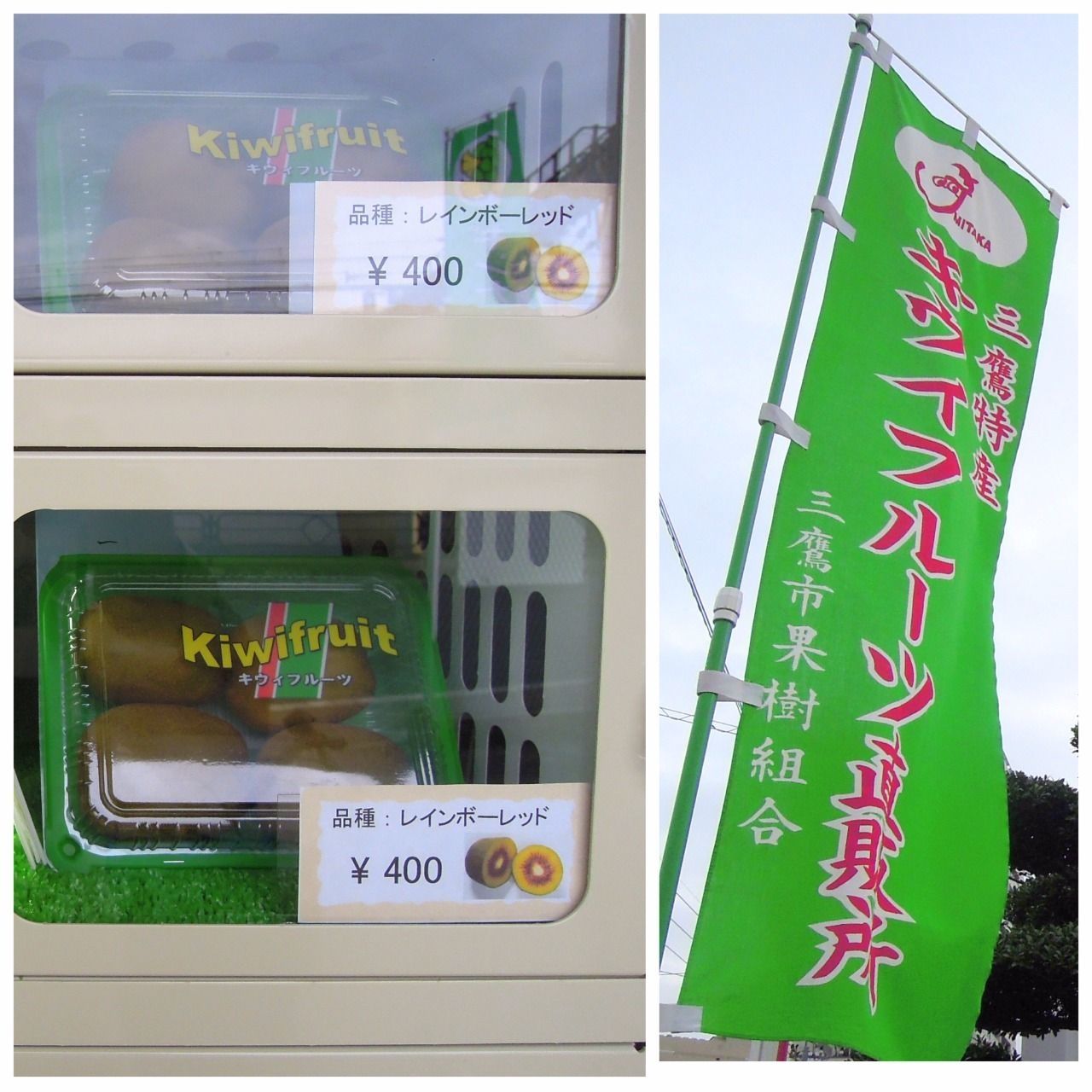 三鷹産キウイはかなり美味しい